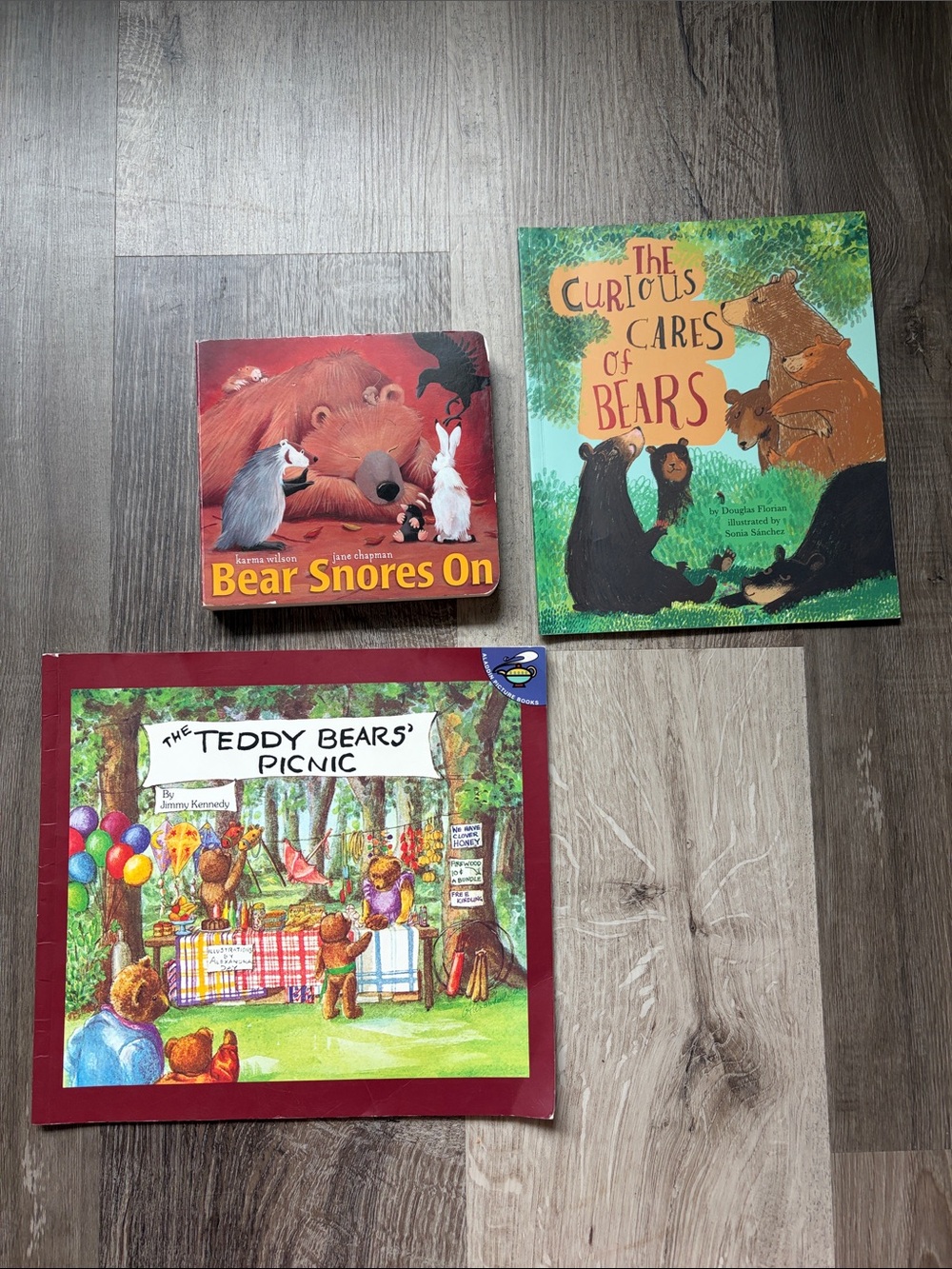 Children's Bear Picture Book Set